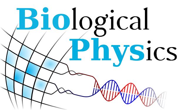 Logo des Elitestudiengangs "Biological Physics"