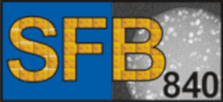 Logo des Sonderforschungsbereich 840 "Von partikulären Nanosystemen zur Mesotechnologie"